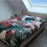 Prázdninový dům Westhinder I H36 *